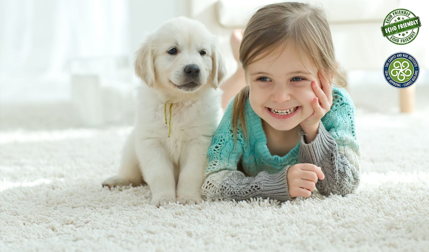 Echo carpet cleaning services