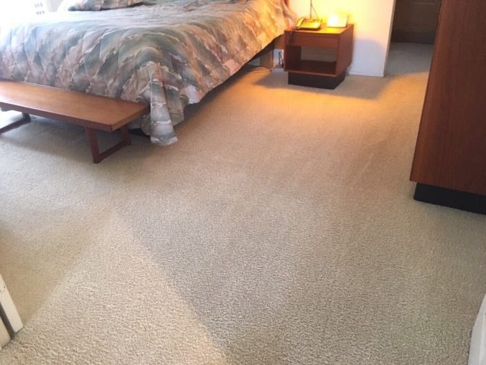 Residential Carpet Cleaners | Echo Carpet Cleaning Services 2