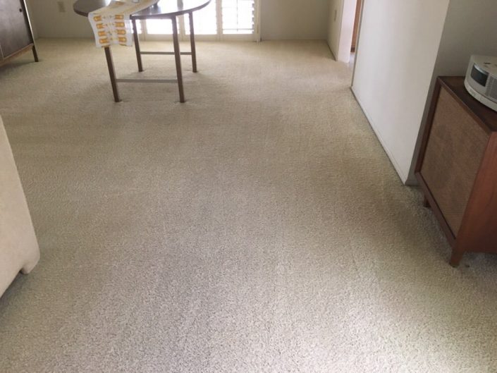 carpet cleaners Irvine - Echo