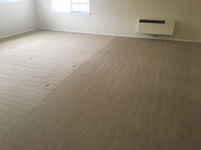 Residential Carpet cleaners Irvine das