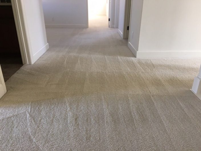 Residential Carpet cleaners Irvine 45